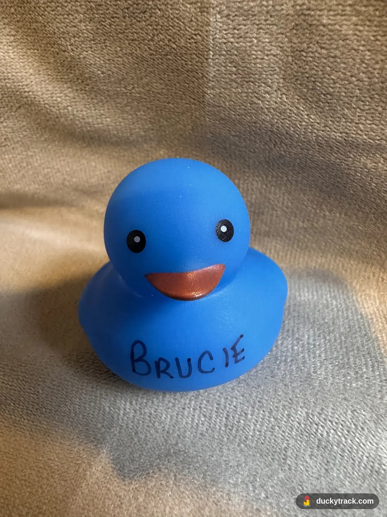 BRUCIE
