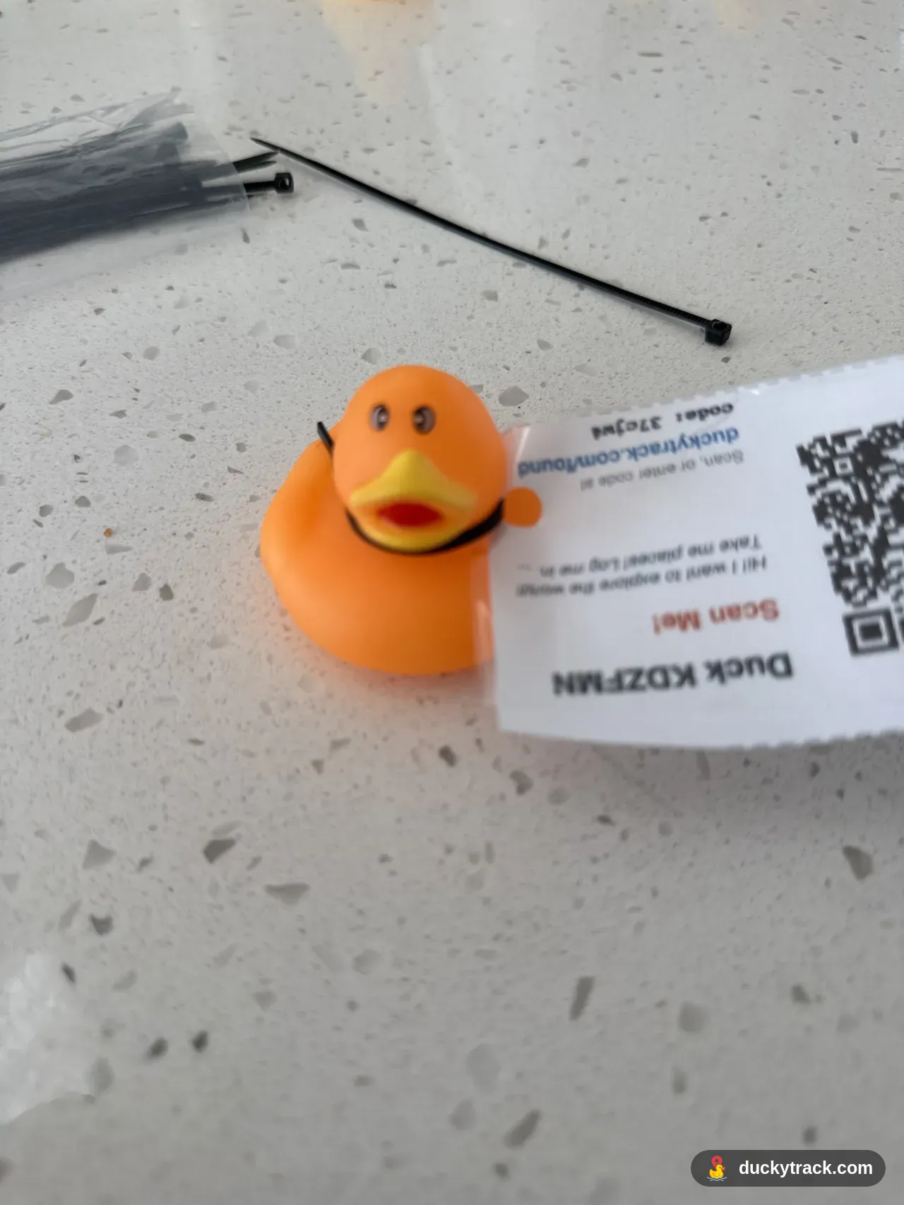 Duck alex