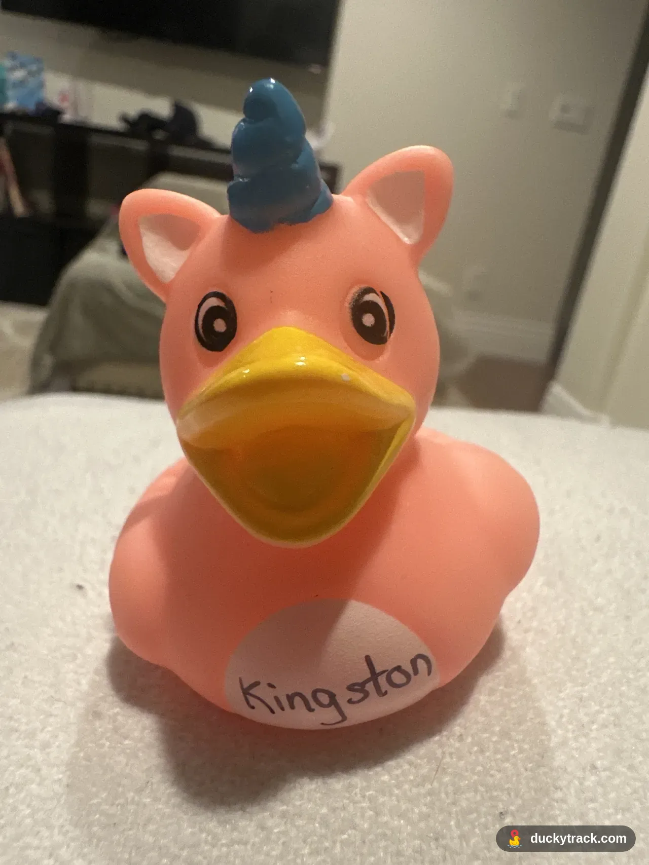 KINGSTON