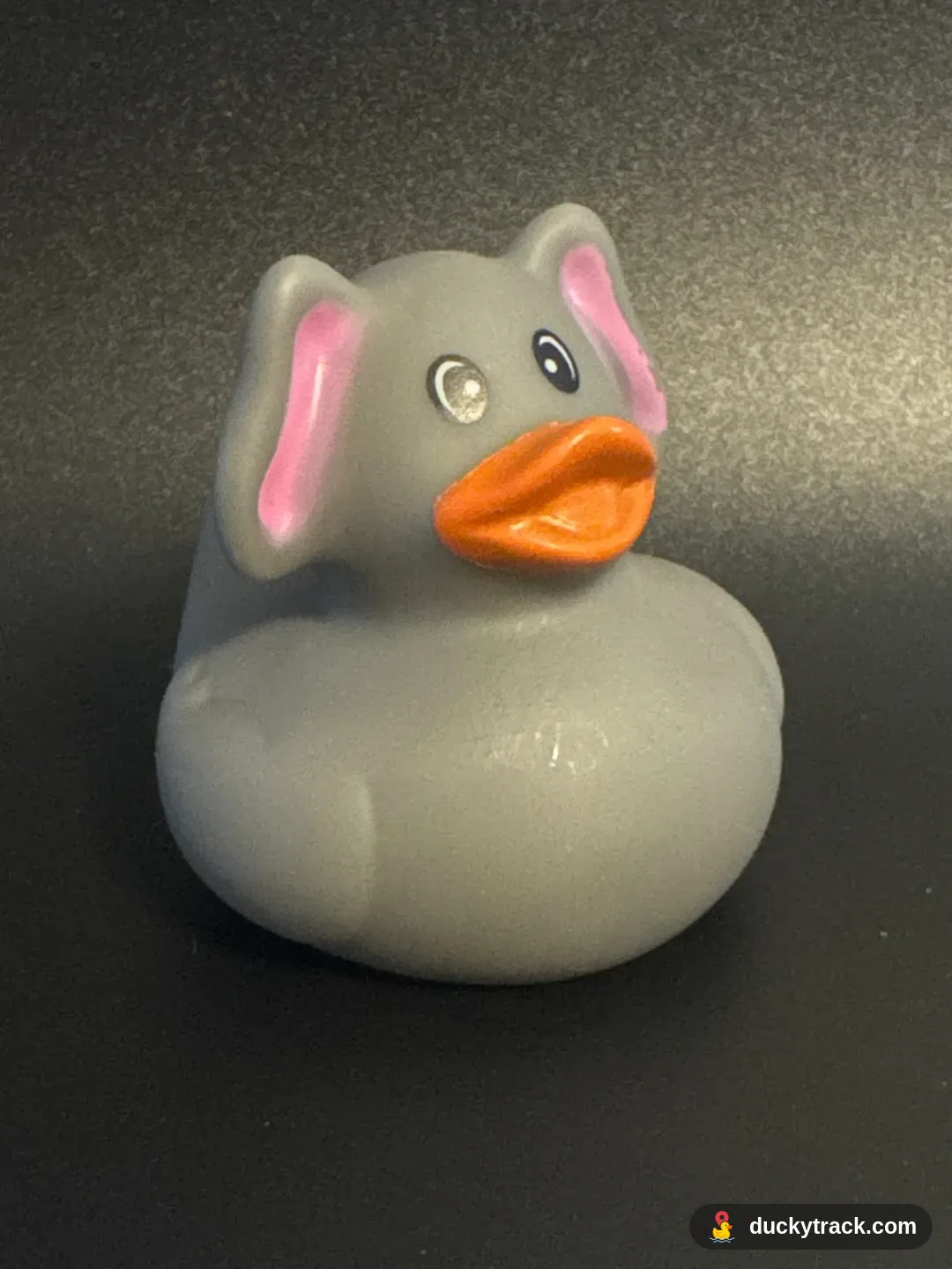 Elly Duck