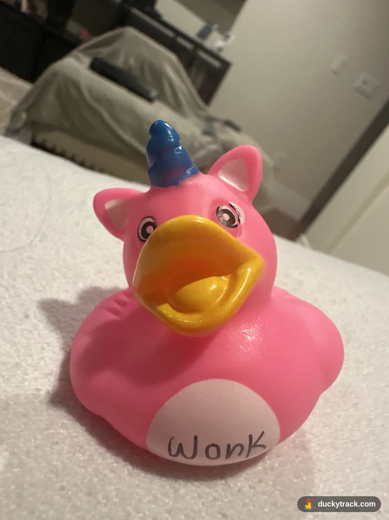 WONK