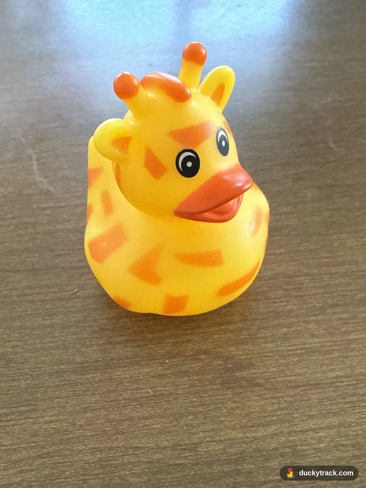 Giraffe a Duck