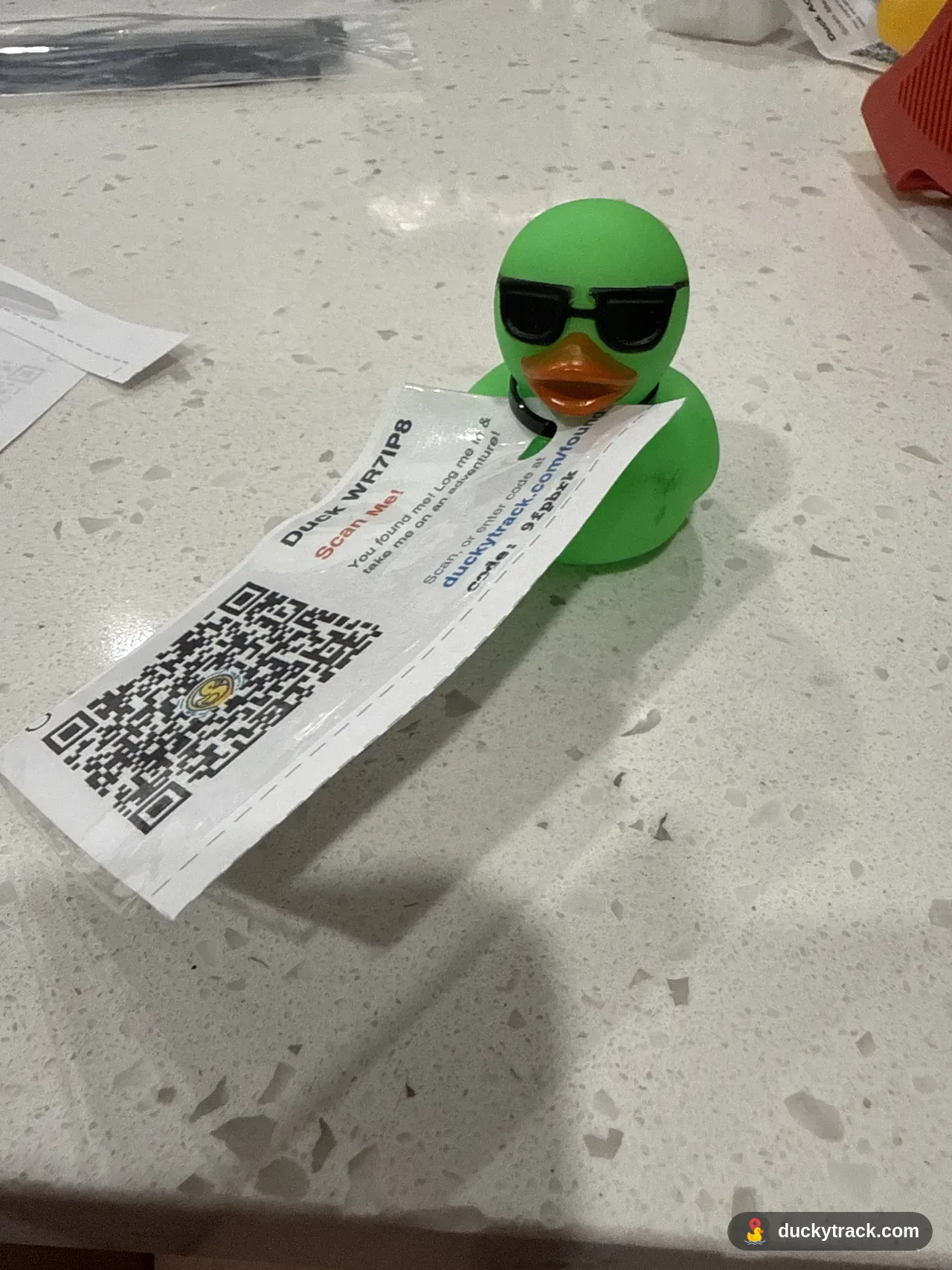 Duck Chris