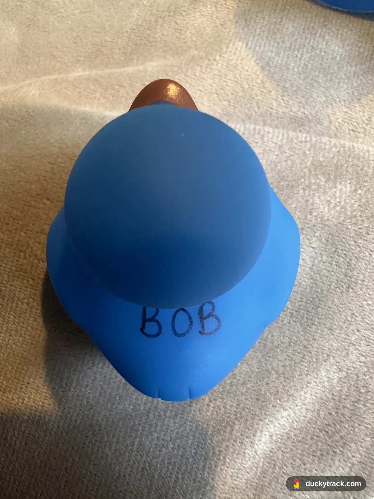 BOB