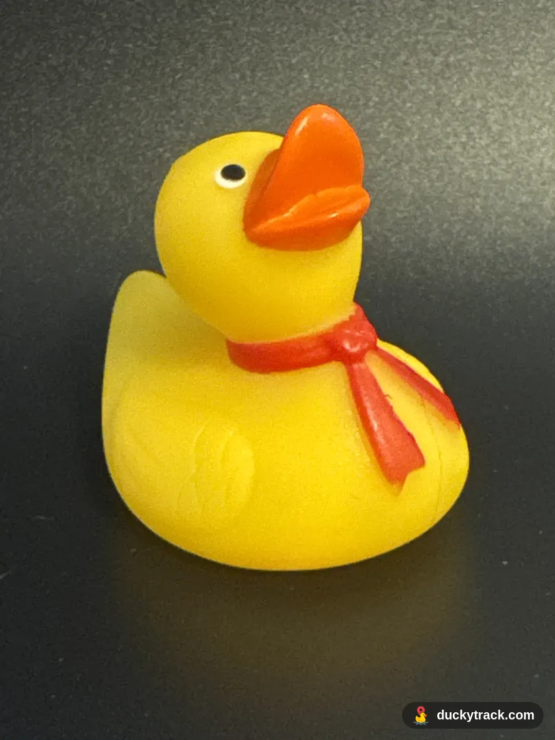 Sailor Quackers
