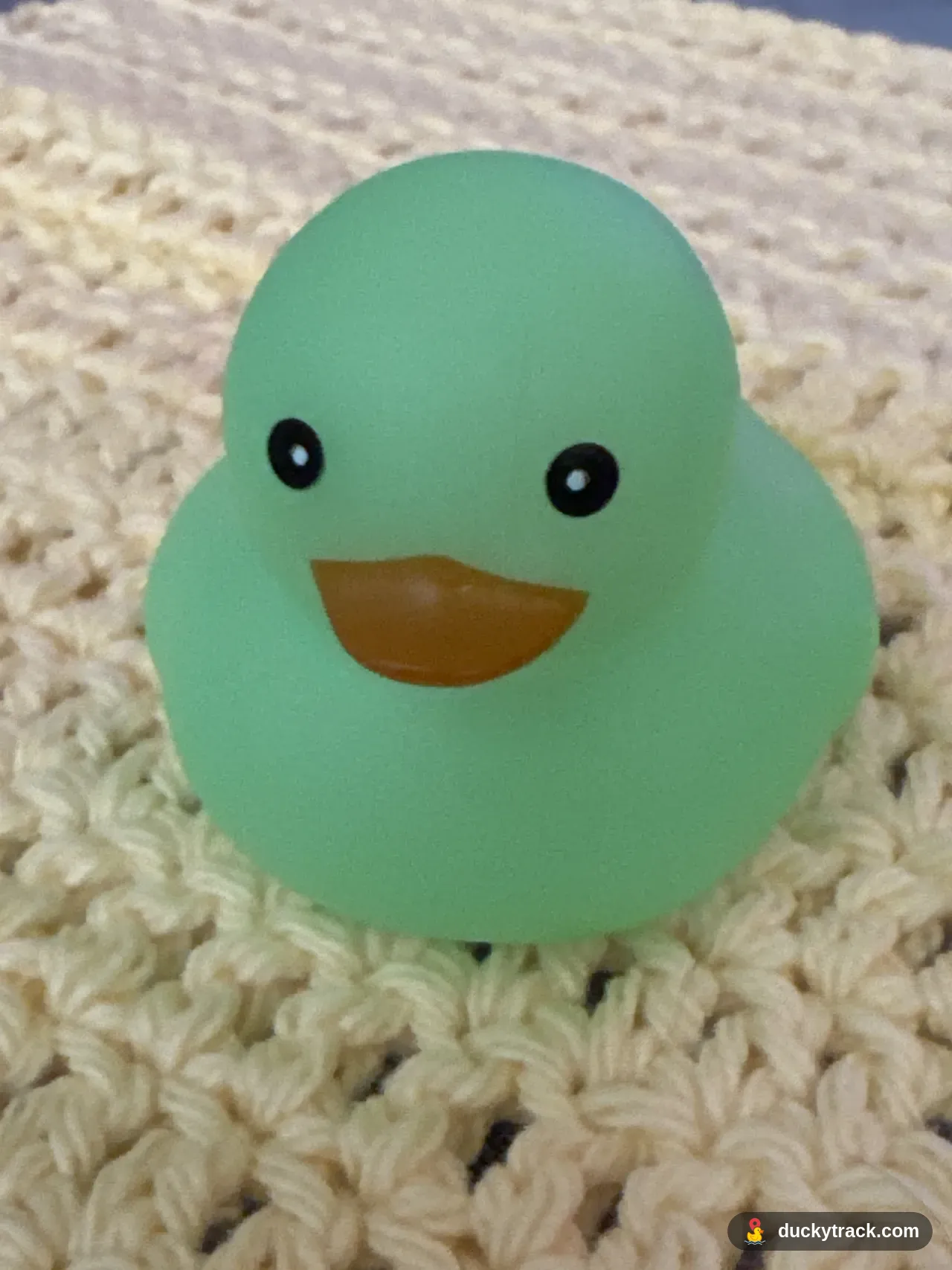 Nugget #3377