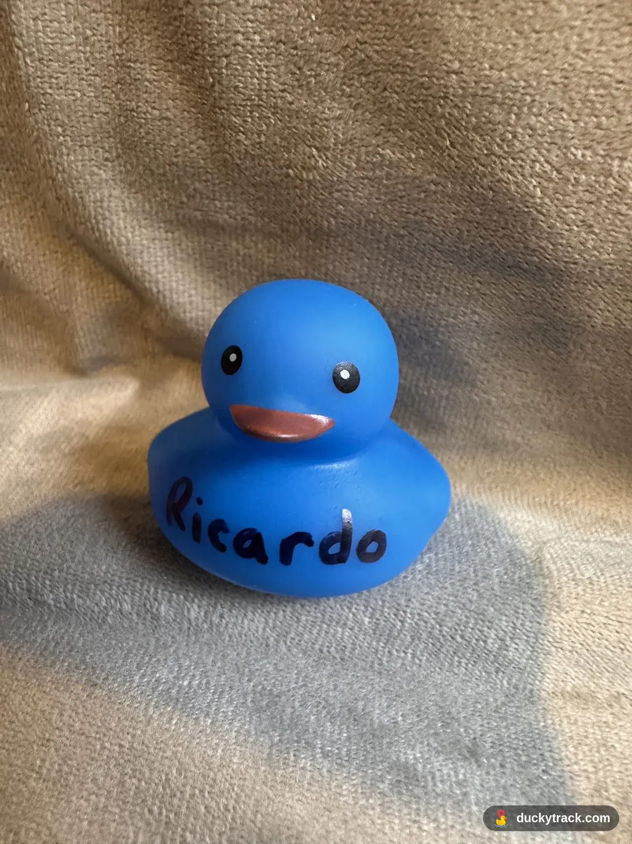 ricardo