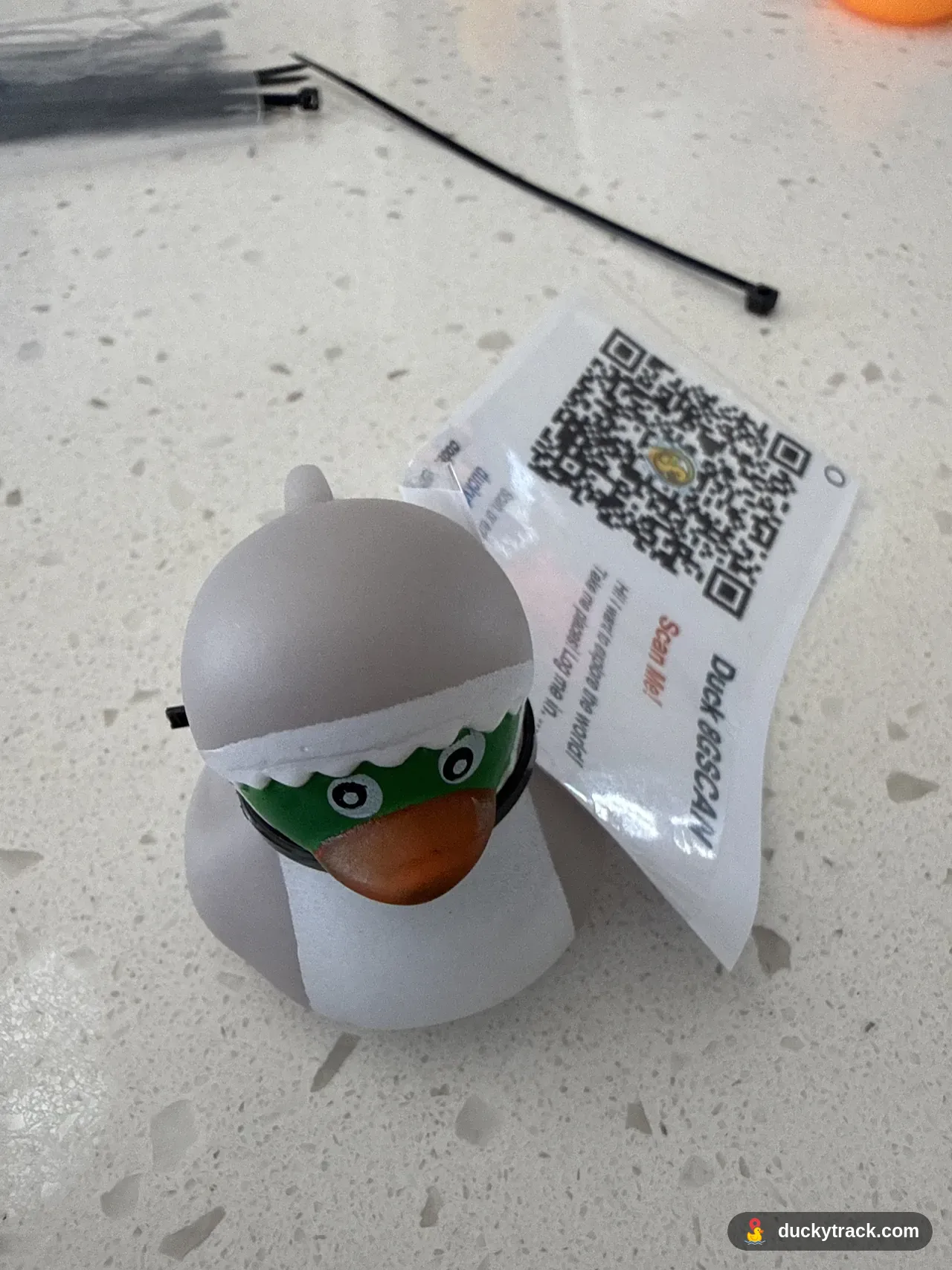 Duck Ian