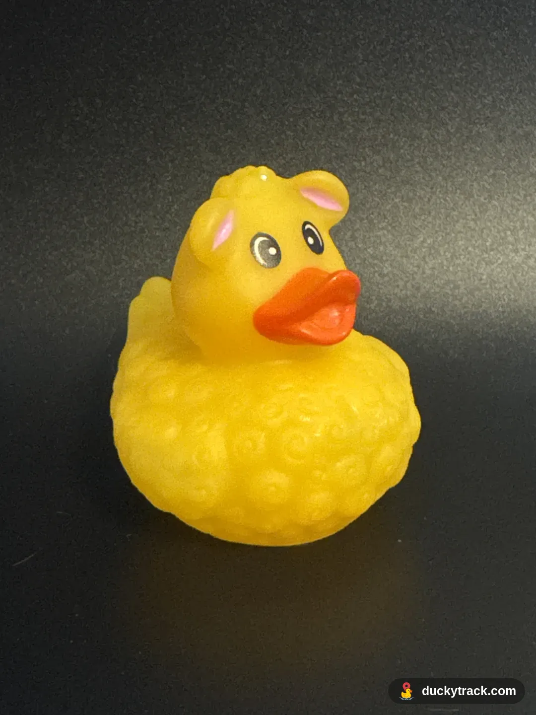 Little Big Bird