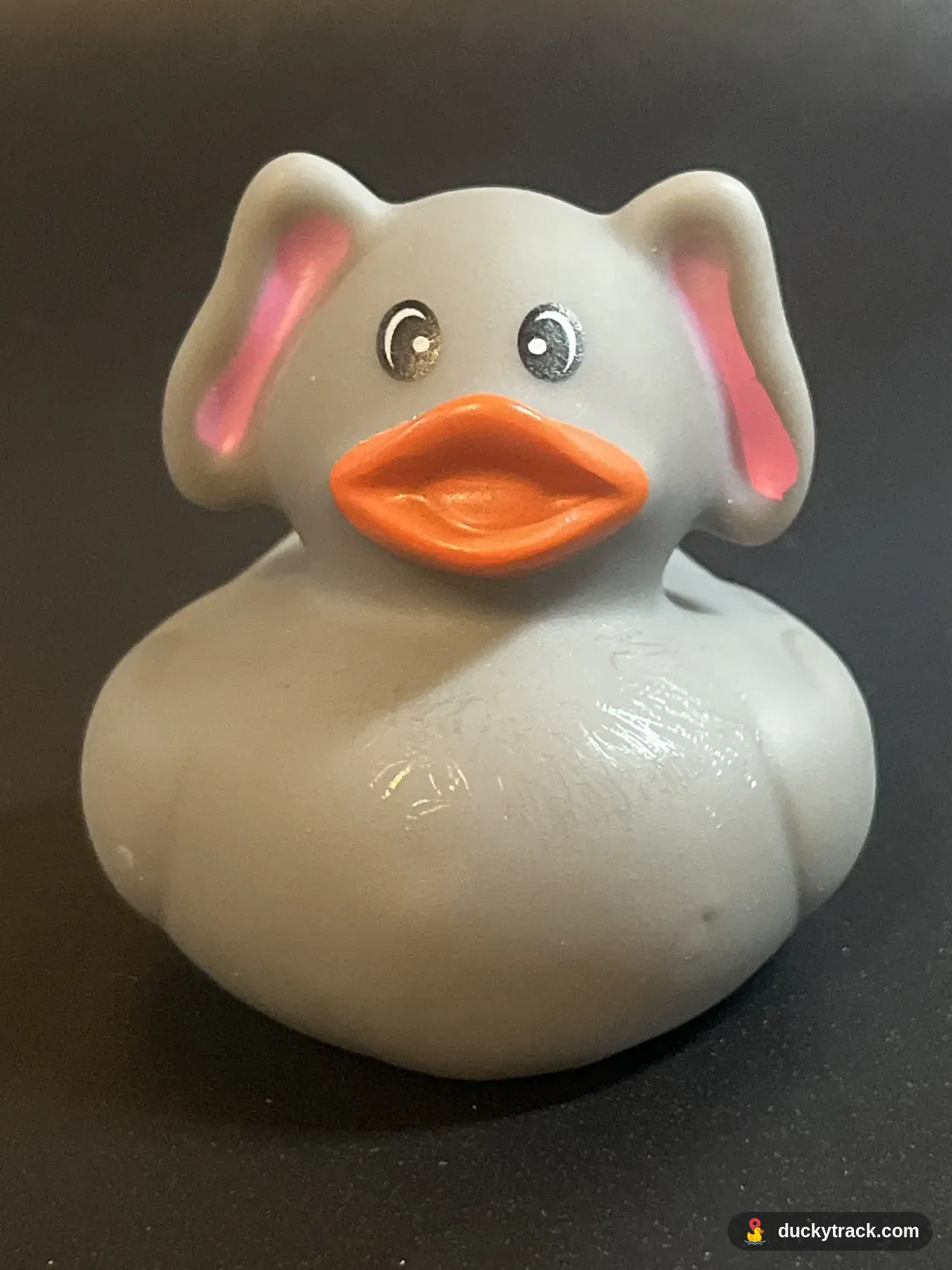 Phanty