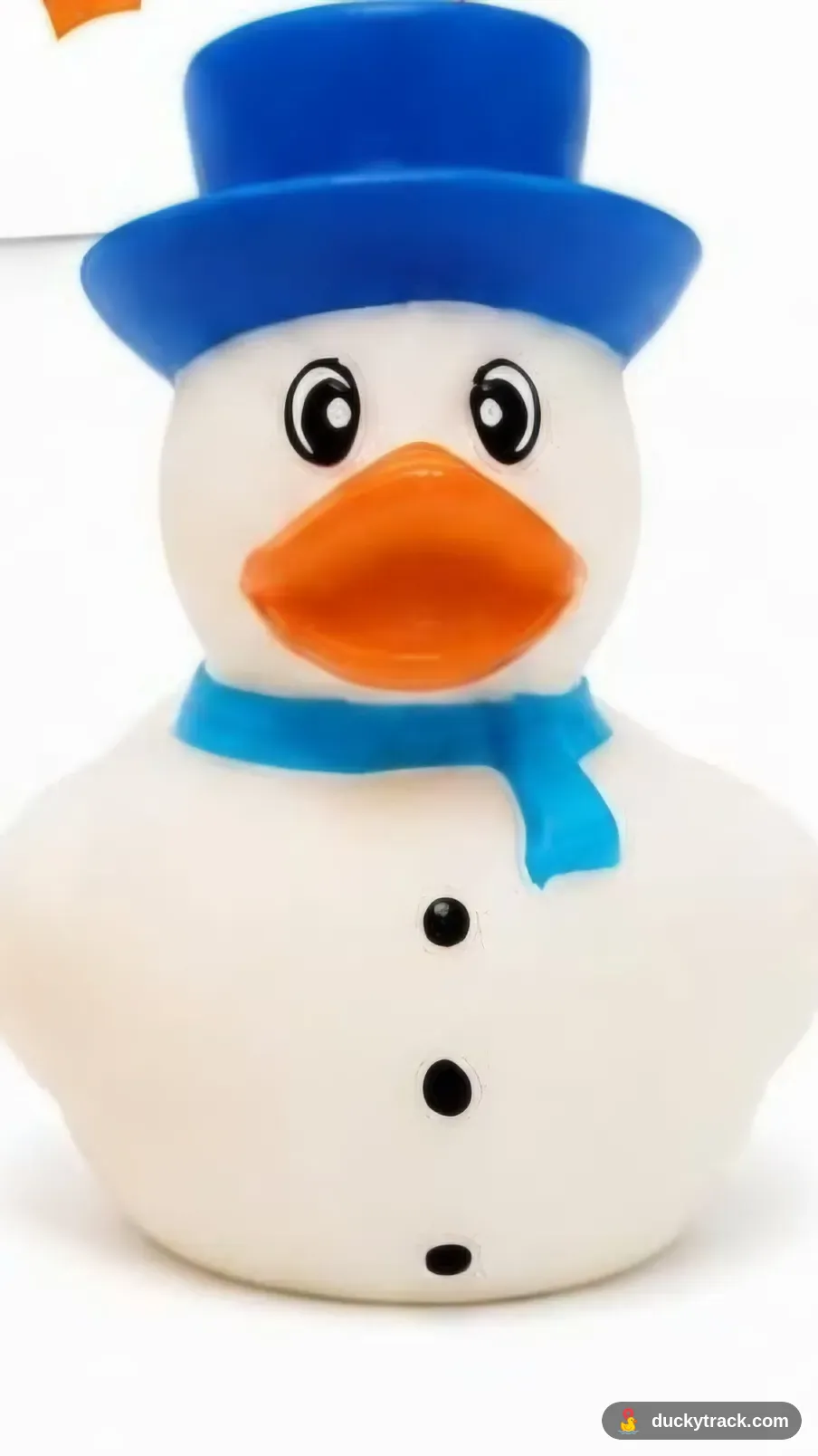 Flurry McDuck