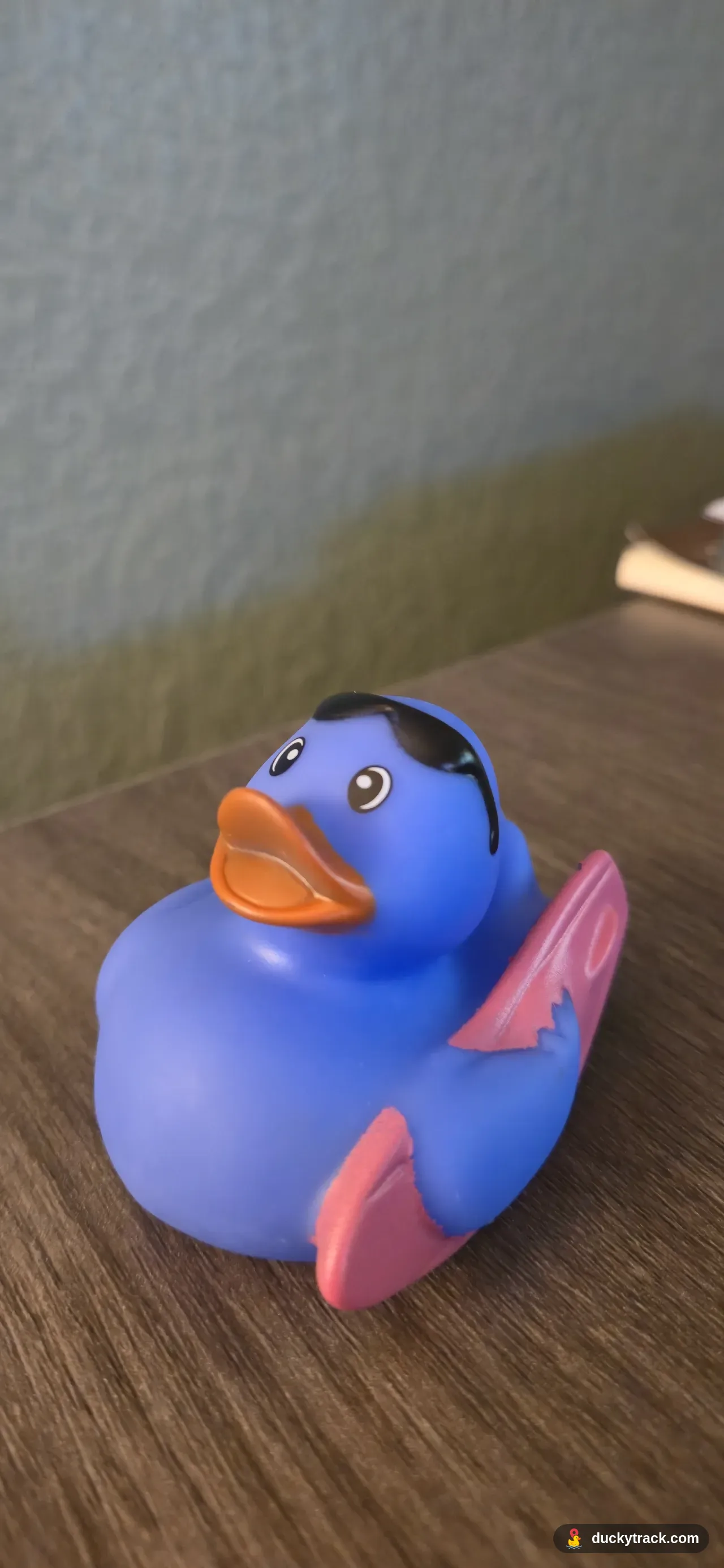 Righteous Duck