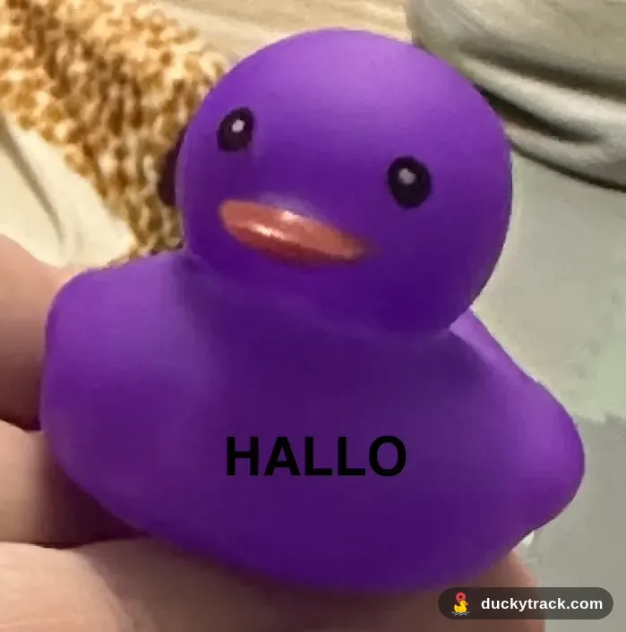 Hallo