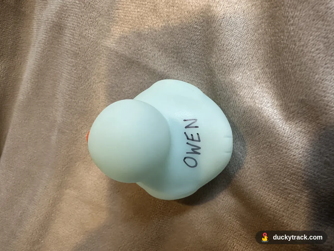 OWEN