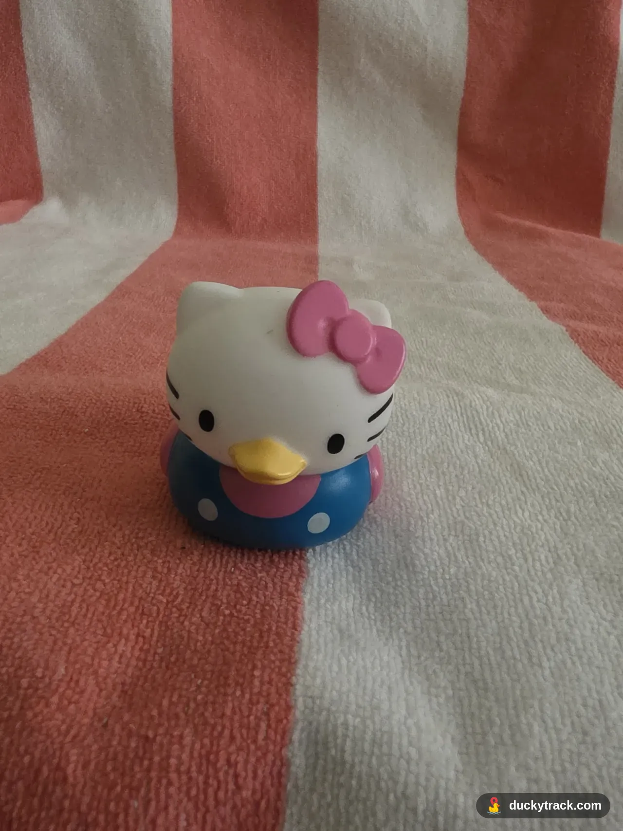 Kitty Quack