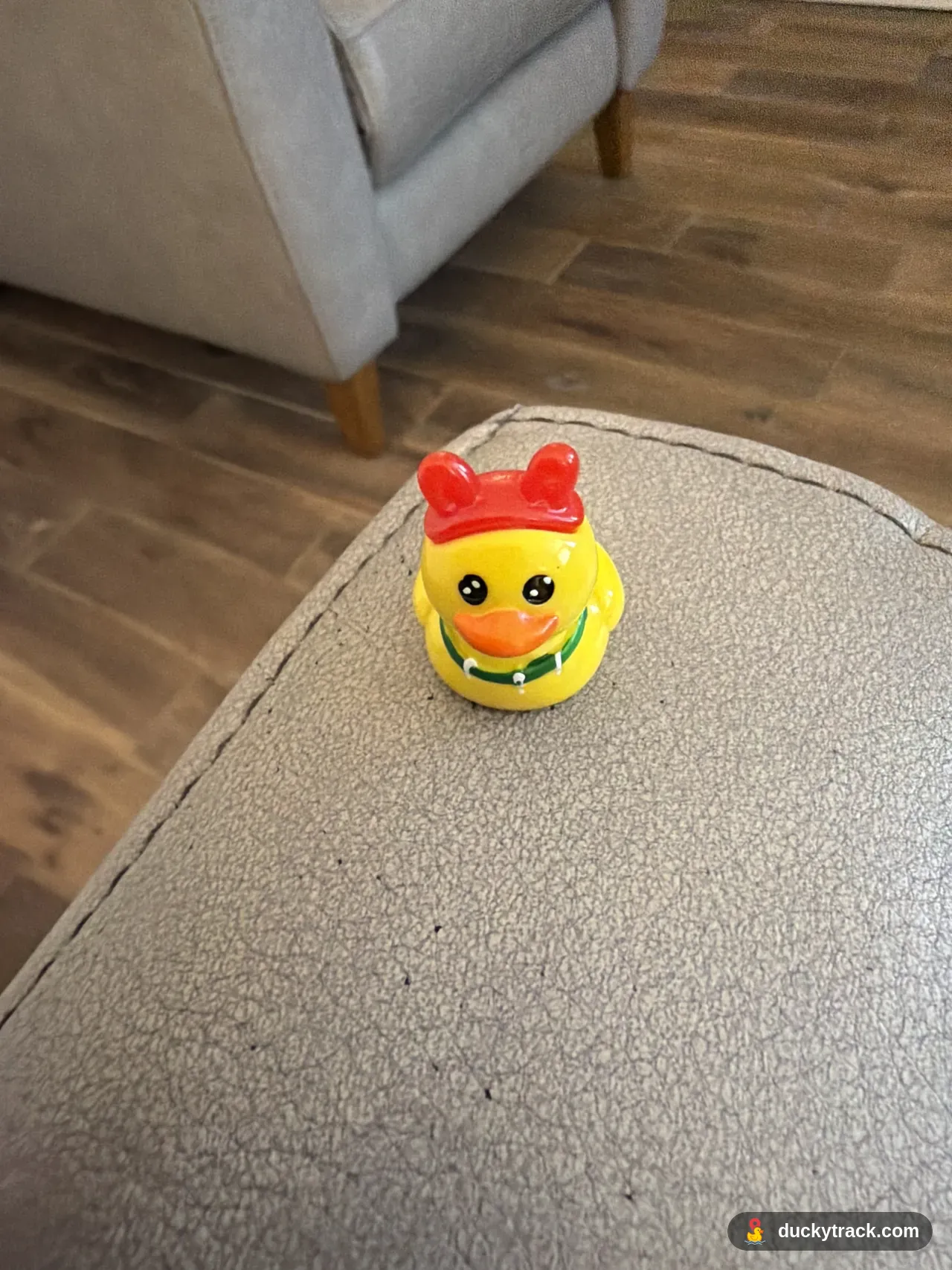 Duck LFFUSW