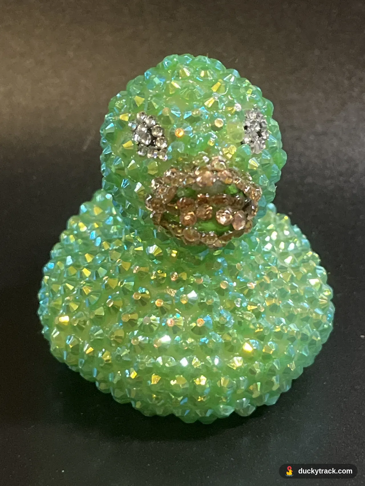 Shiny Duck