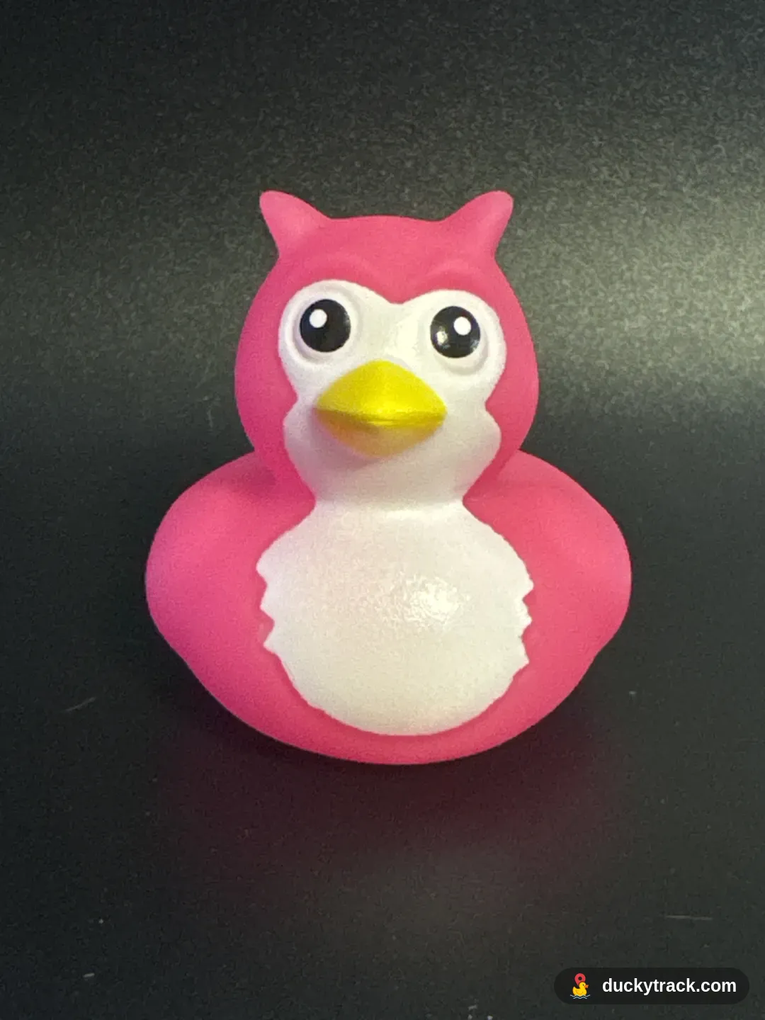 Hootie the Owl Duck