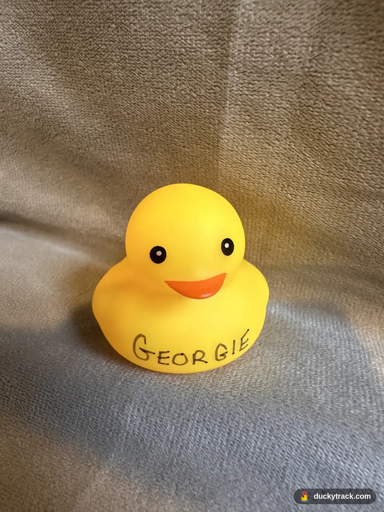 GEORGIE