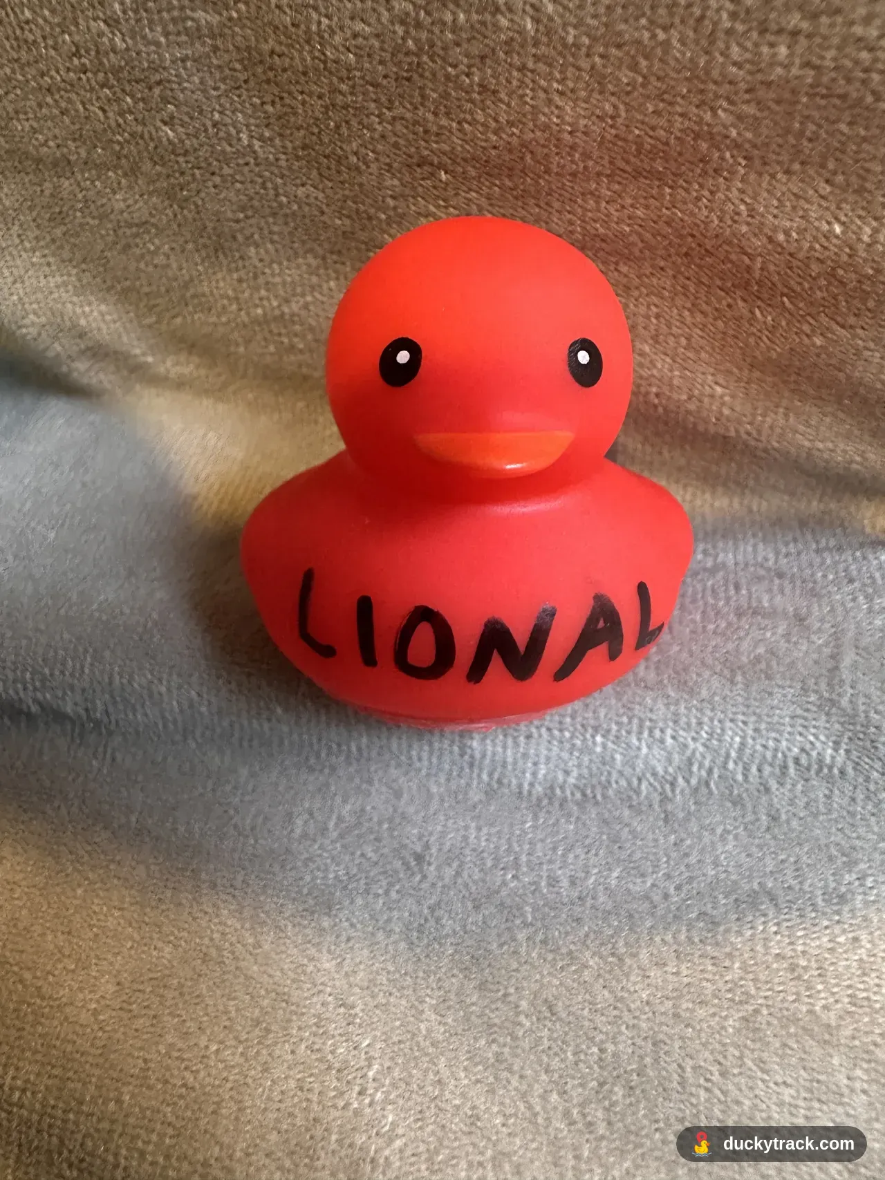 LIONal