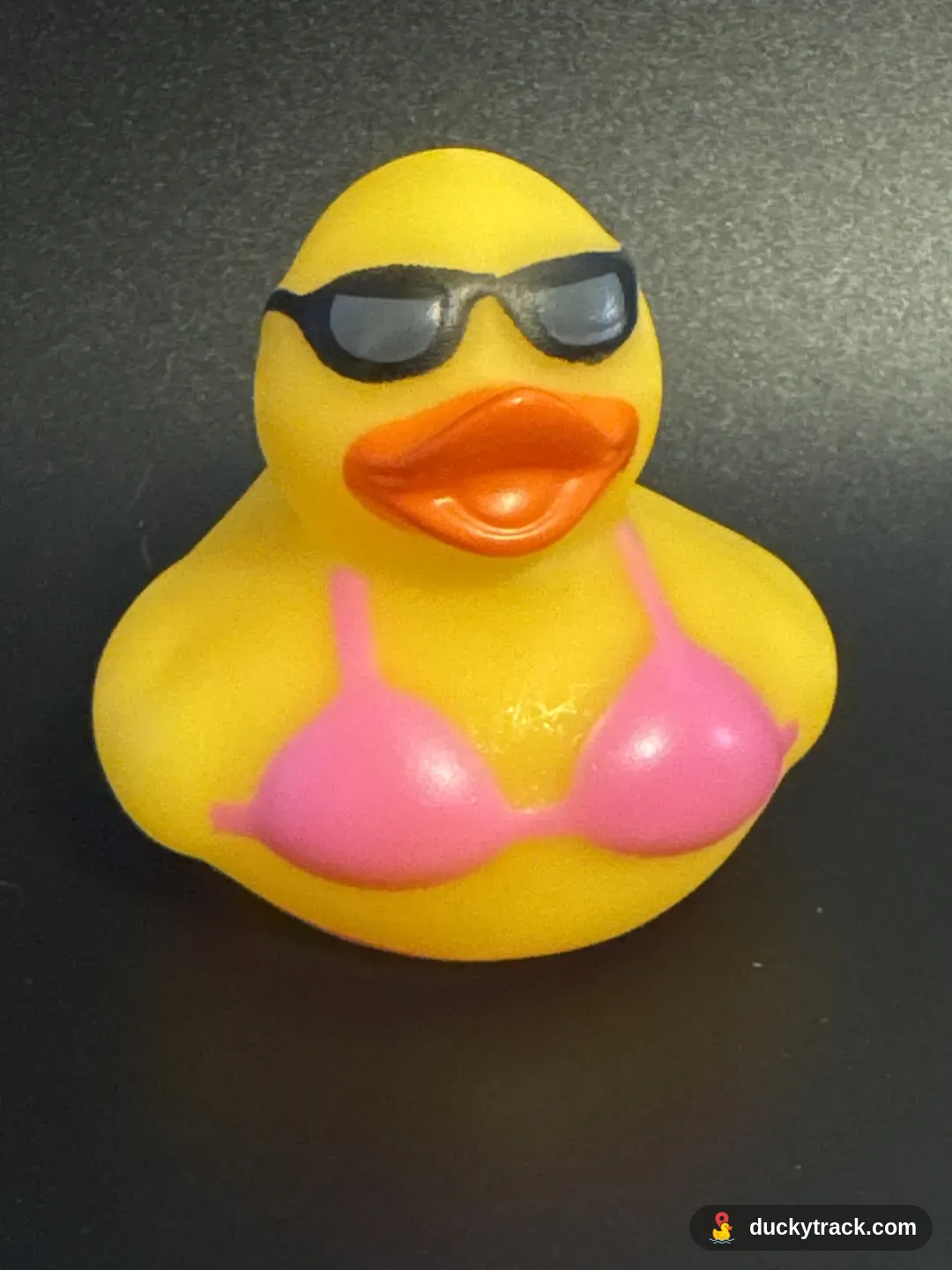 Sunny Tan Duck