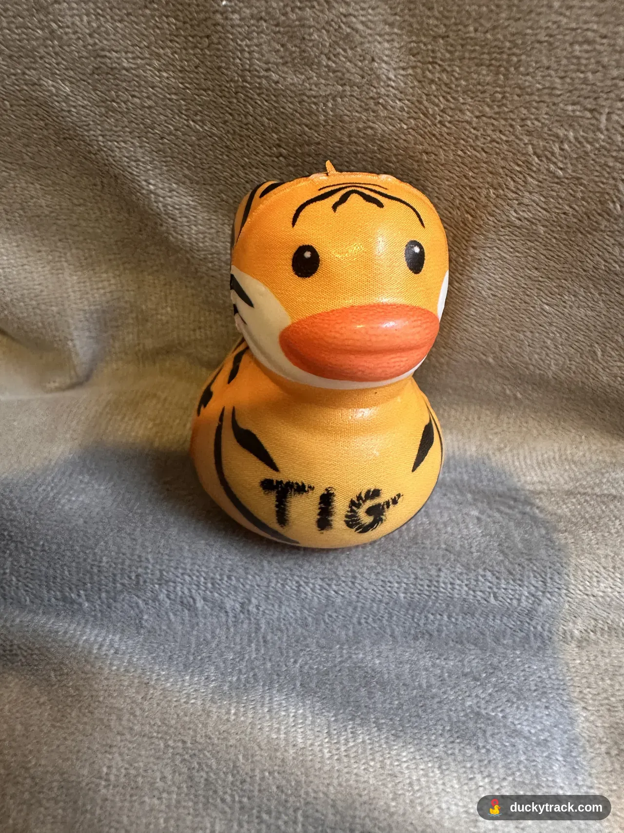 TIG