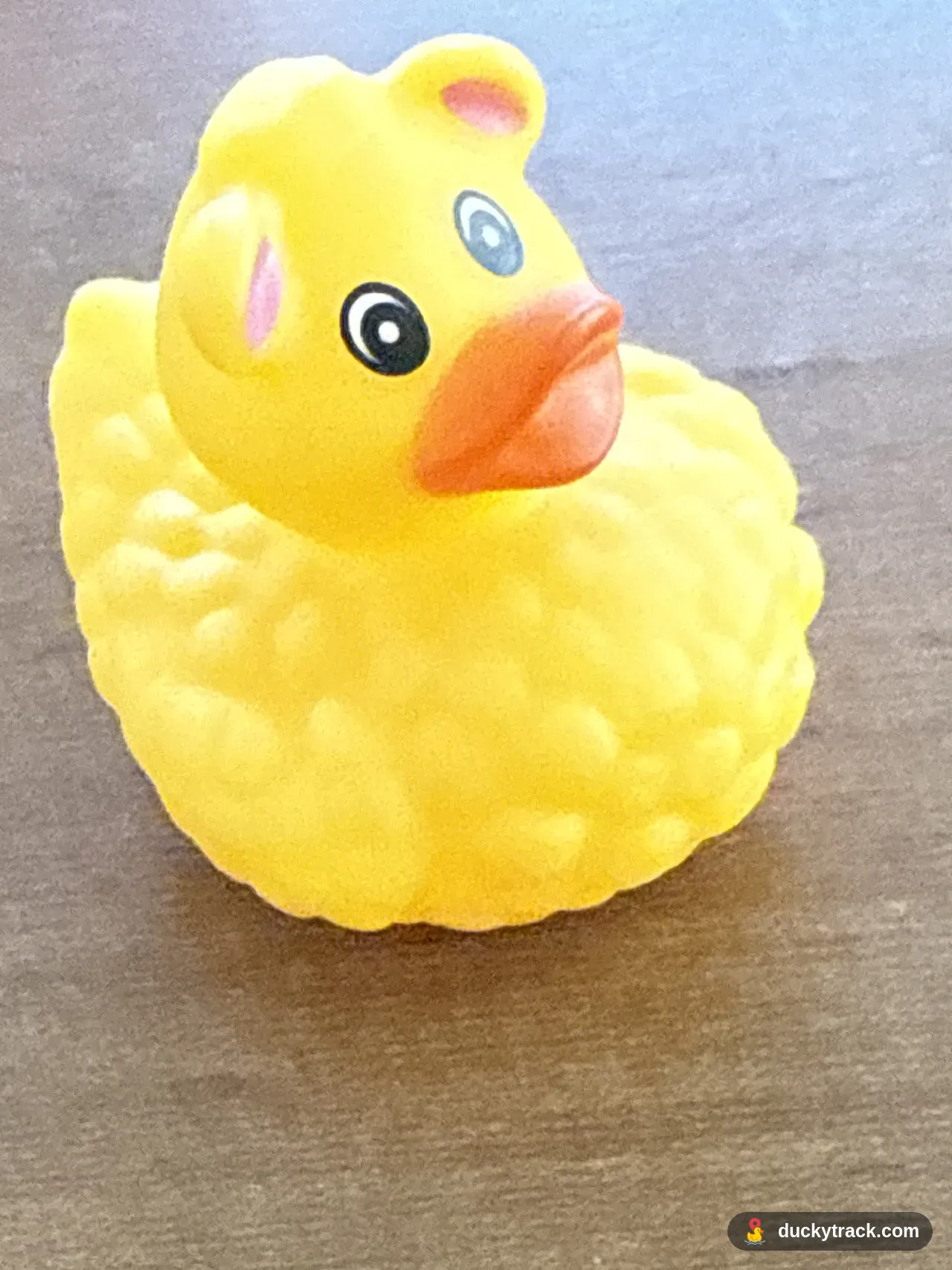 Big Bird Duck