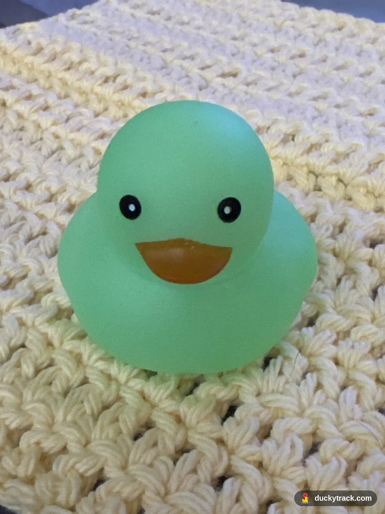 Ducky McDuckface #4858