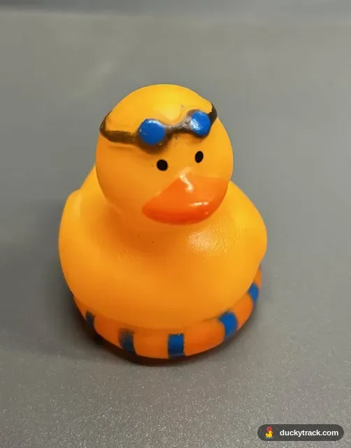 Floaty Duck