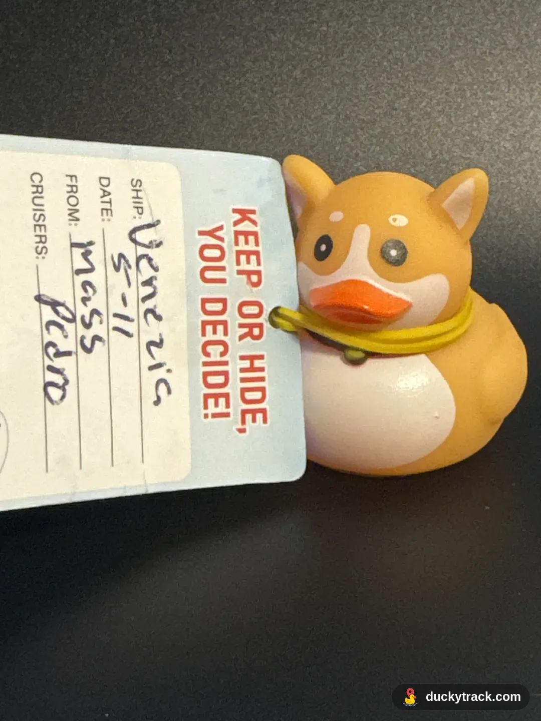 Captain Quack