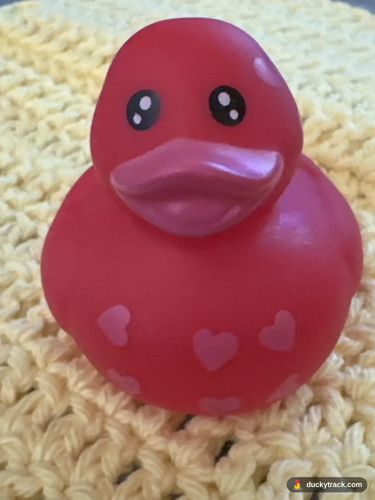 Ducky McDuckface #5223