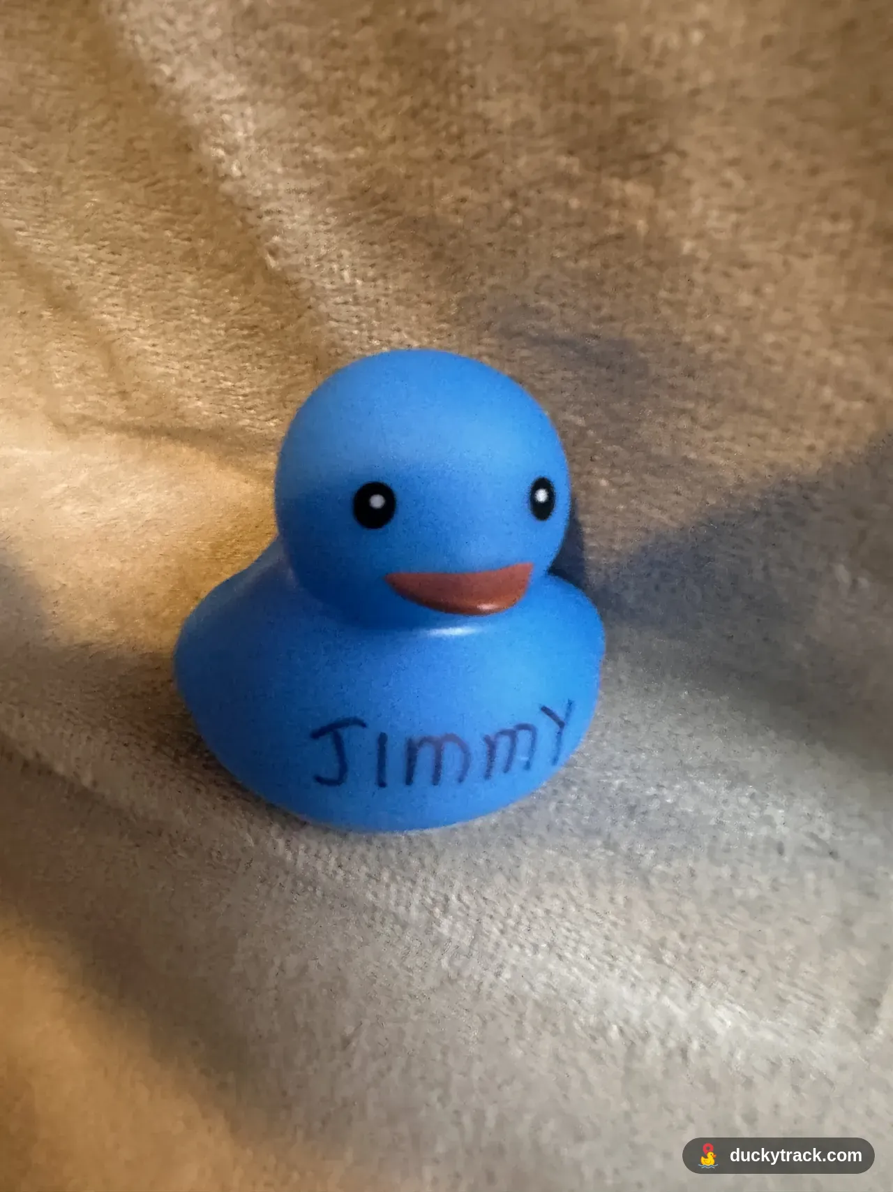 Jimmy