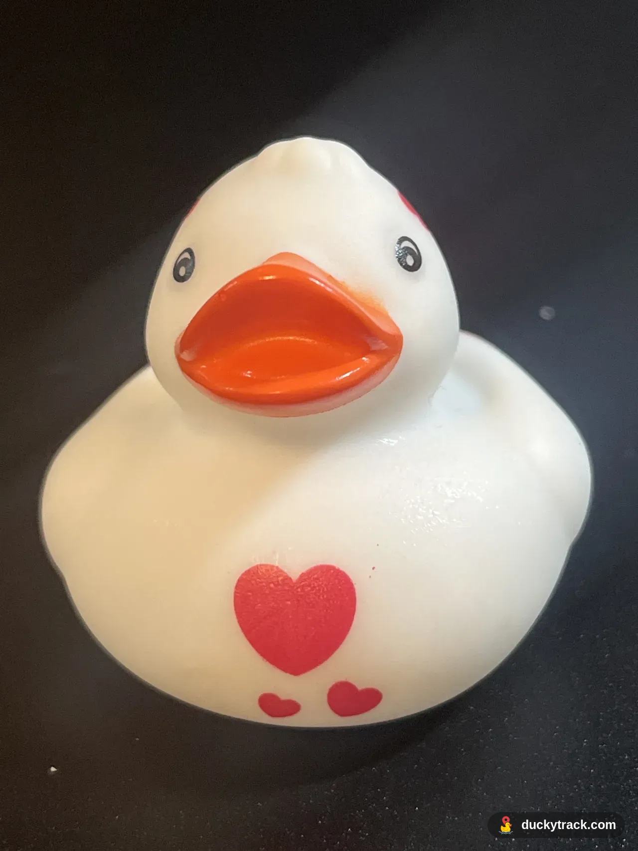 Sweetness the Sweetest Duck