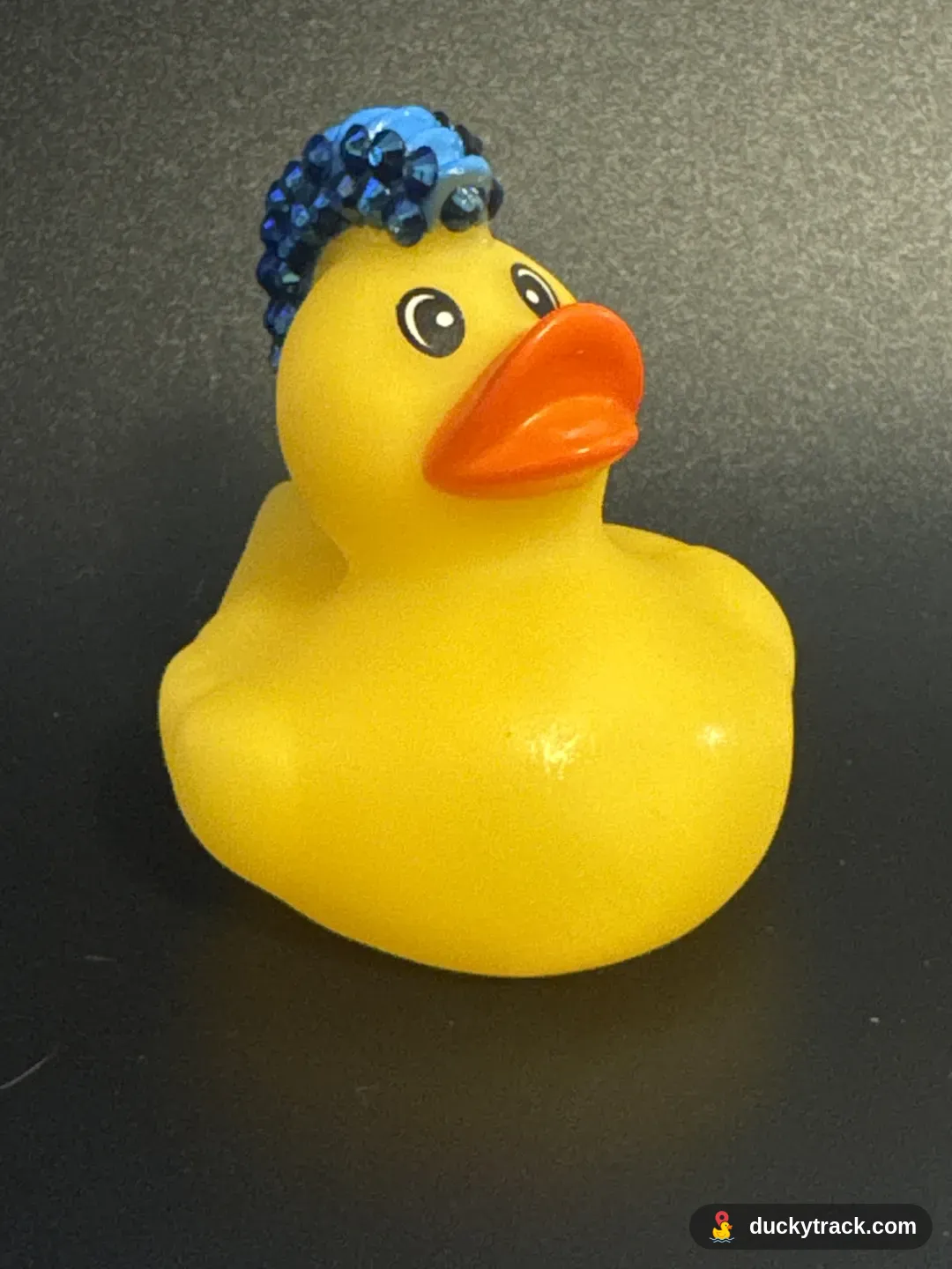 Punky Bluester