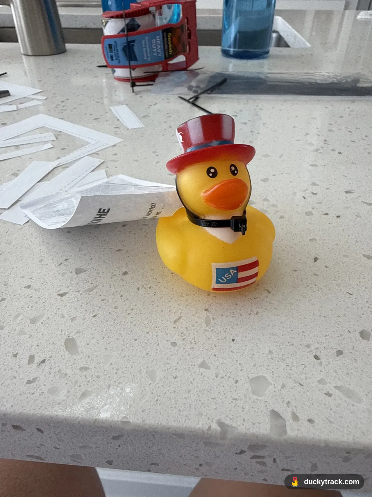 Duck Macy