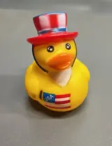 USA Duck
