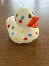 Poka Dotty