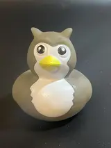 Hooty Hooo