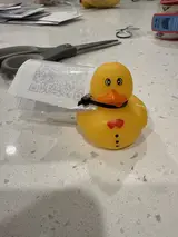 Duck Joey