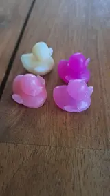 Pink baby ducks