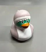 Shark Duck