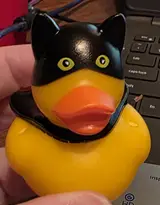 Temu Batman