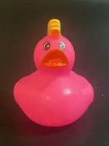 Rock Star Duck