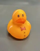 Bow Tie Duck