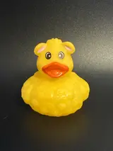 Big Bird Duck