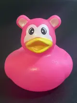 Kooky Koala Duck