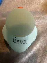 BENJI