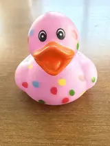 Poka dot bikini