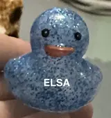 Elsa