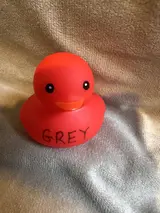 GREY